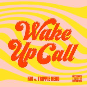 Album cover for Wake Up Call album cover