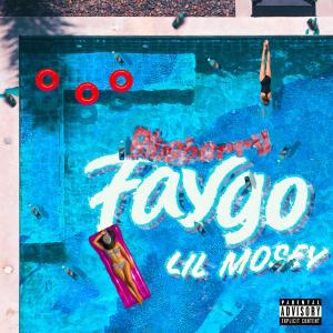 Album cover for Blueberry Faygo album cover