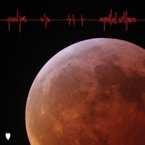 Album cover for Superblood Wolfmoon album cover