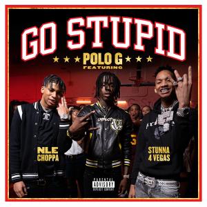 Album cover for Go Stupid album cover