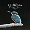 Album cover for Bird of Paradise album cover