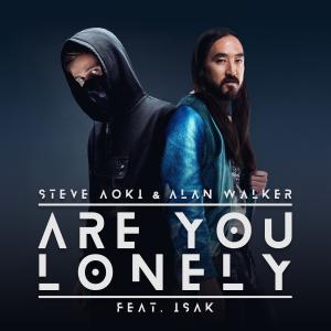 Album cover for Are You Lonely album cover