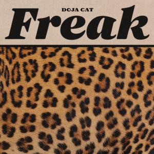 Album cover for Freak album cover