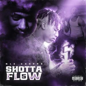 Album cover for Shotta Flow 5 album cover