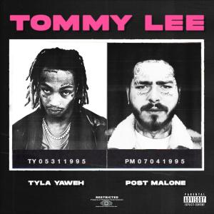 Album cover for Tommy Lee album cover