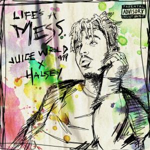 Album cover for Life's A Mess album cover