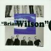 Brian Wilson