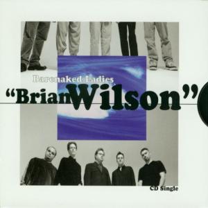 Album cover for Brian Wilson album cover