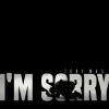 I'm Sorry (A Lament)