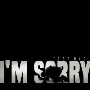 Album cover for I'm Sorry (A Lament) album cover