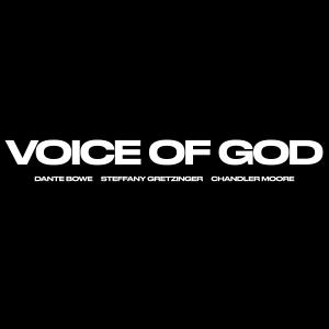 Album cover for Voice Of God album cover