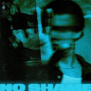 Album cover for No Shame album cover