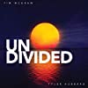 Album cover for Undivided album cover