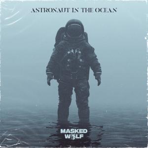 Album cover for Astronaut In The Ocean album cover