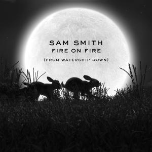 Album cover for Fire On Fire album cover