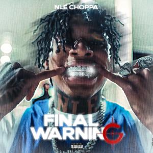 Album cover for Final Warning album cover