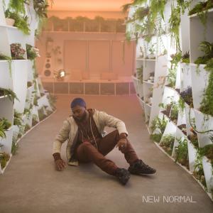 Album cover for New Normal album cover