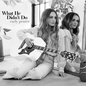 Album cover for What He Didn't Do album cover