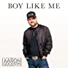 Album cover for Boy Like Me album cover