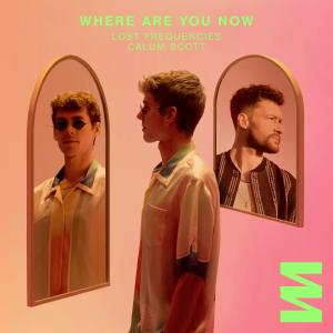 Album cover for Where Are You Now album cover