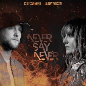 Album cover for Never Say Never album cover