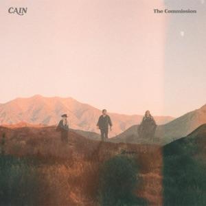 Album cover for The Commission album cover