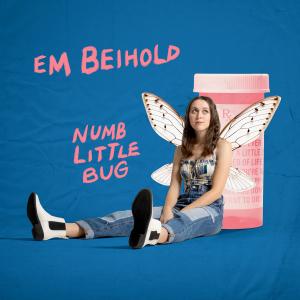 Album cover for Numb Little Bug album cover