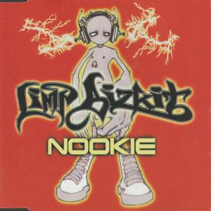 Album cover for Nookie album cover