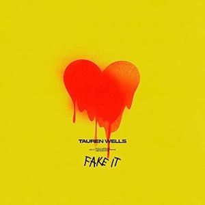 Album cover for Fake It album cover