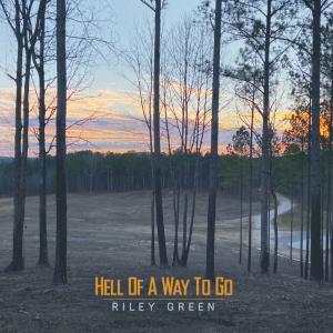 Album cover for Hell Of A Way To Go album cover
