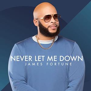 Album cover for Never Let Me Down album cover