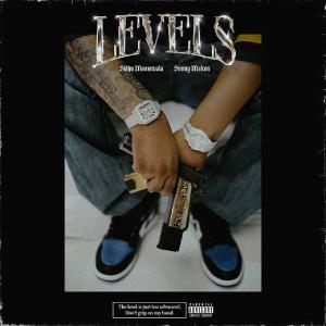Album cover for Levels album cover