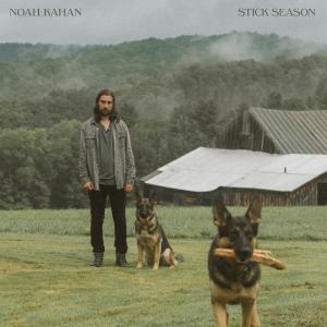 Album cover for Stick Season album cover
