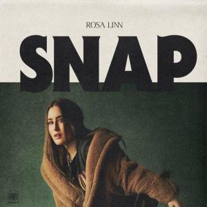 Album cover for Snap album cover