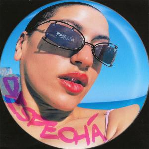 Album cover for Despecha album cover