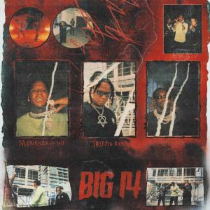 Album cover for Big 14 album cover