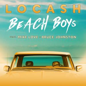 Album cover for Beach Boys album cover