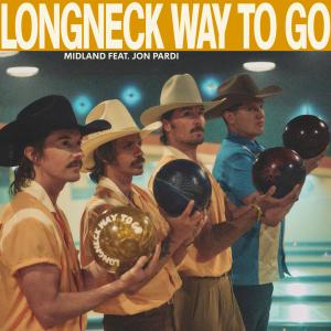 Album cover for Longneck Way To Go album cover
