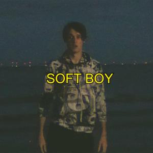 Album cover for Soft Boy album cover