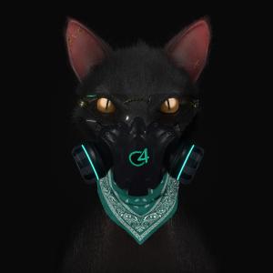 Album cover for Gato de Noche album cover