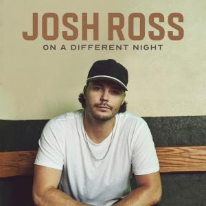 Album cover for On A Different Night album cover