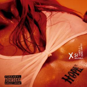 Album cover for X Si Volvemos album cover