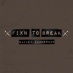 Album cover for Fix'n To Break album cover
