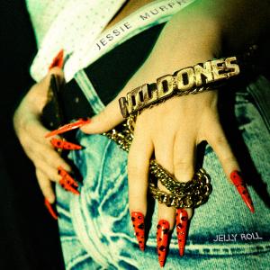 Album cover for Wild Ones album cover