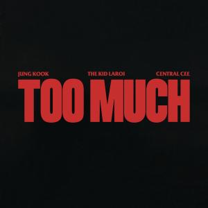 Album cover for Too Much album cover