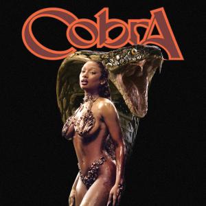 Album cover for Cobra album cover