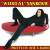 Pretty Fly for a Rabbi