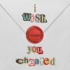I Wish You Cheated