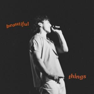 Album cover for Beautiful Things album cover