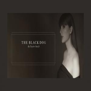 Album cover for The Black Dog album cover